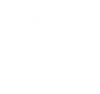 icona02